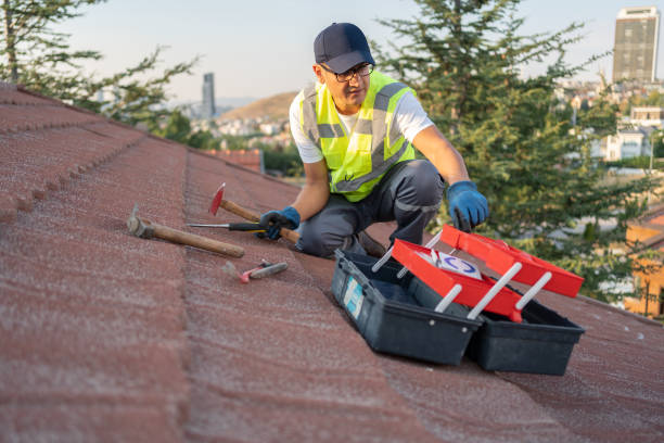 Siding Removal and Disposal in Cheat Lake, WV